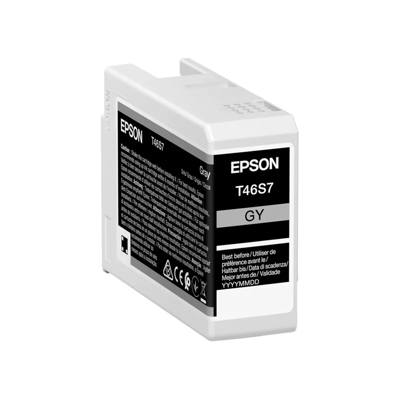 Epson Cartuccia Grigio UltraChrome Pro 10 ink 25ml