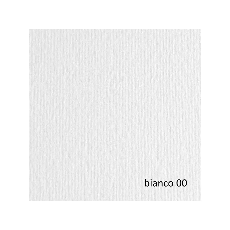 BLISTER 20FG CARTONCINO 50X70 220GR BIANCO 100 FABRIANO ELLE ERRE