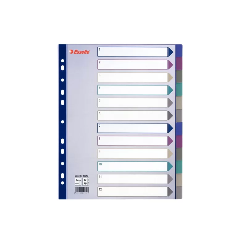 Separatore in PPL traslucido 12 tasti f.to A4 MAXI 24,5x29,7cm ESSELTE