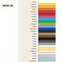 Conf.10 cartoncino Bristol Color 200gr 100x70cm scarlatto 61 Favini