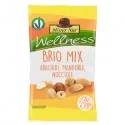 Brio Mix 25gr Mister Nut (Conf.24)