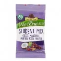 Student Mix 25gr Mister Nut (Conf.24)